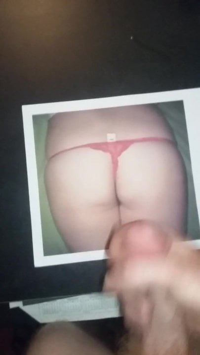 tribute zorrozx ass