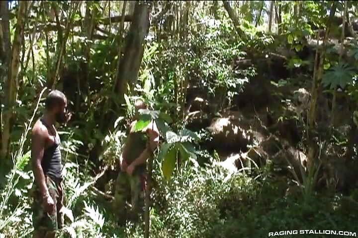 Lords of the Jungle