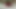 Short Fat cock with cockring no cum
