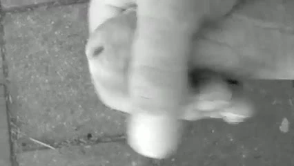 geil