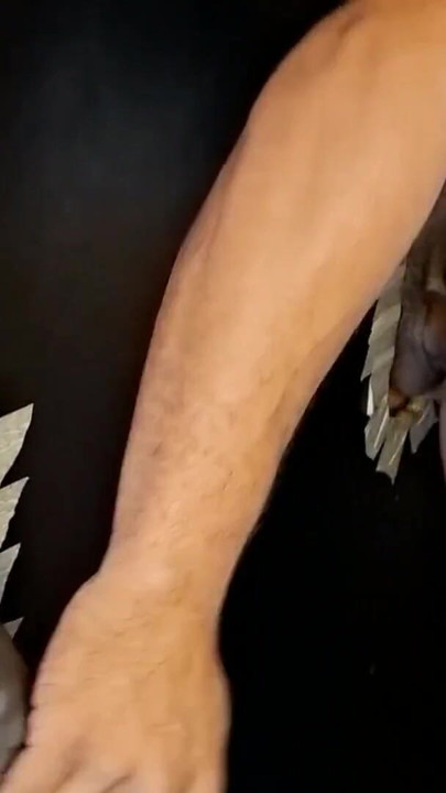 二人のブルネットのチンコに尻を与える |クリップ2