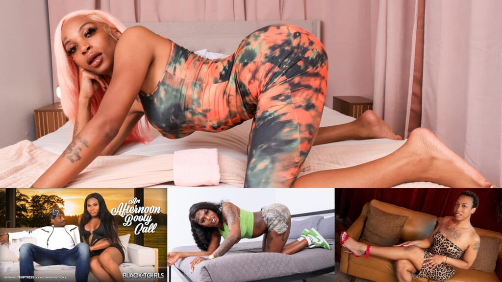 BLACK TGIRLS - Updates Compilation 6th to 10th Jul '26