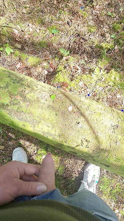 Boy peeing in a public wood