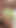Epic moment from "Asian brunette gets her hairy pussy creampied after hot sex"