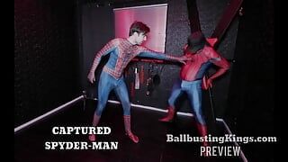 Spider-Man capturado