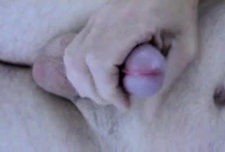 quick wank 2