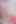 Free Quality Valentine's Day Ballons