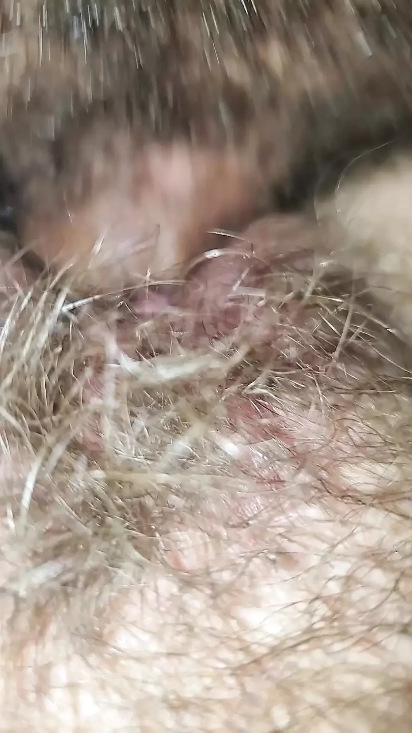 Wet wet pussy slapping in with my dick