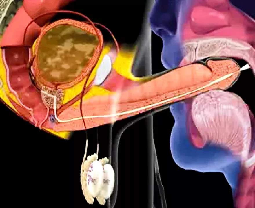 sperma-im-mund-animation-sperma-schlucken-abspritzen-im-mund-hd