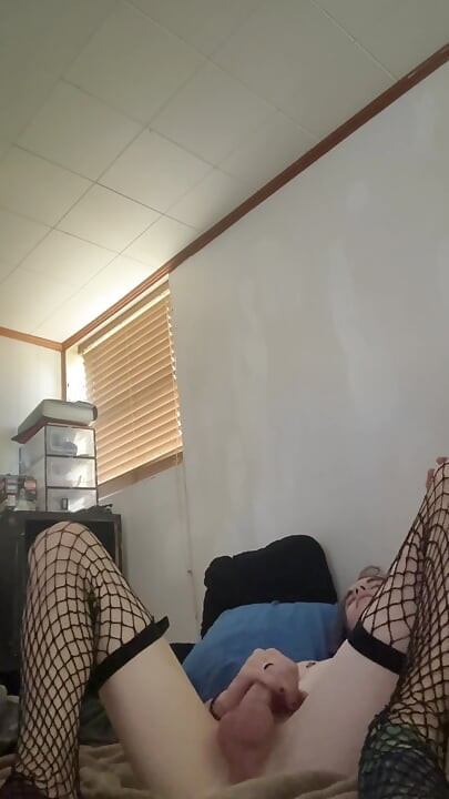 Trans pet khud ko talaashne ka phaisla karta hai jabki uska maalik door hai!