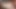 Dd_7492