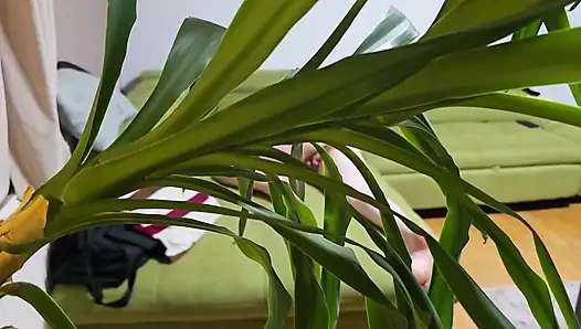 Wenn du große Ärsche und dicke titten liebst, wirst du dieses mollige mädchen lieben