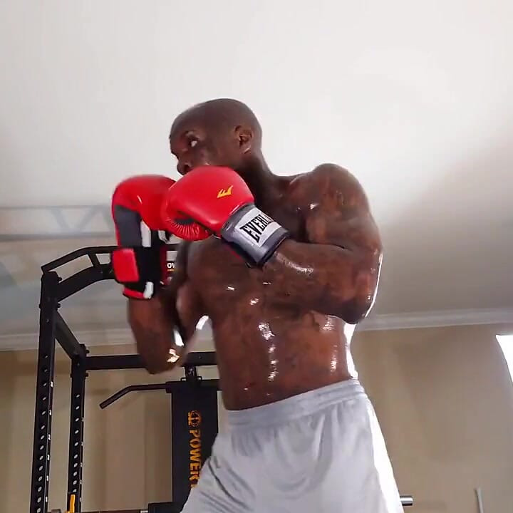 Boxing Workout Saq Exercises Can Promote Improvements in Physical Performance and Sustain Youthful Movement Throughout Life.