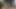 Cumshot on hot pants(artificial vagina)