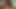 Horny T Girl sucking dick and fucks ass