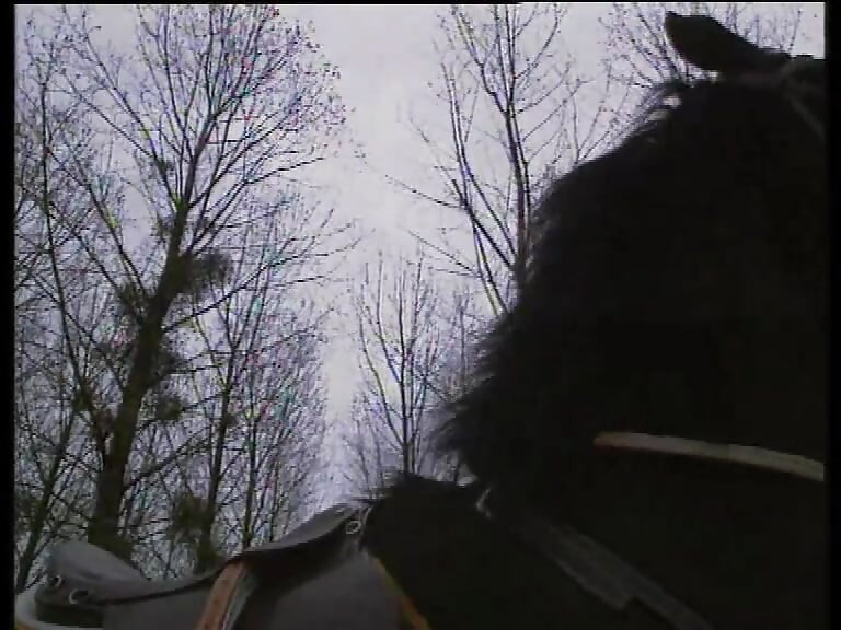 Csábító csaj csipkeharisnyában éhesen szopja a faszt