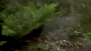 Forest Naked Walk