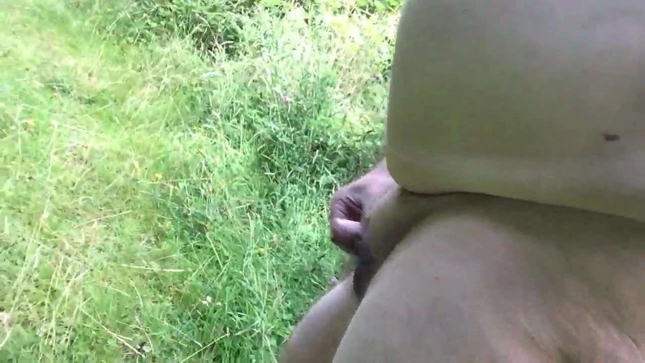 Meer aftrekken in het bos