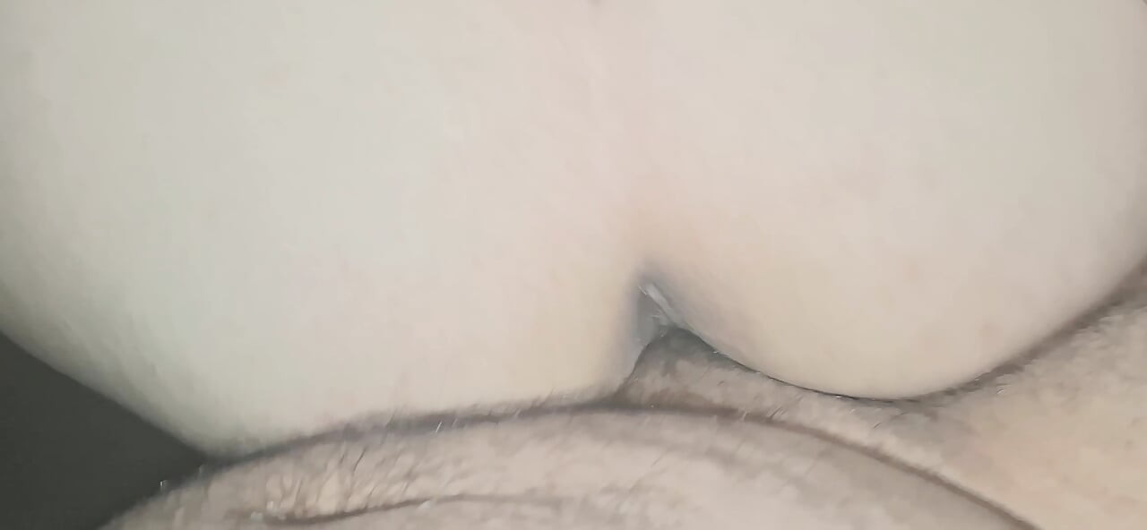 of a puppy