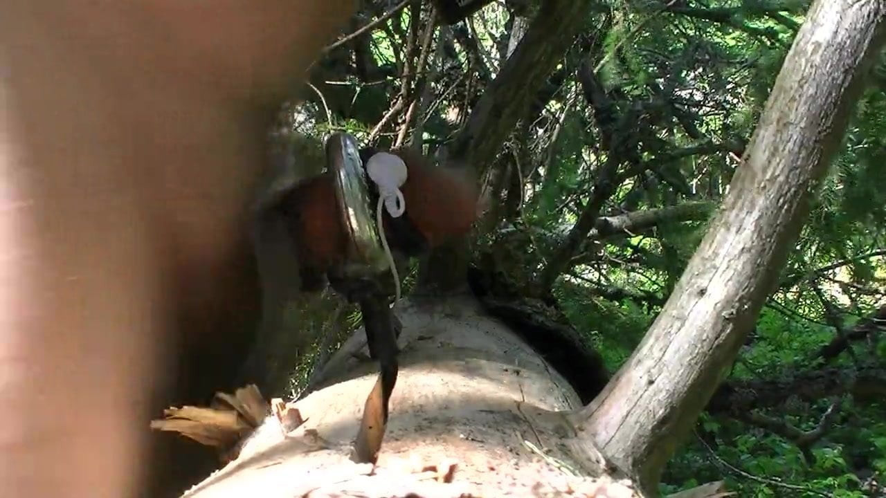 E-stim in forest