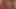 Teen Anal and Ass to Mouth Cumshots Full Movie