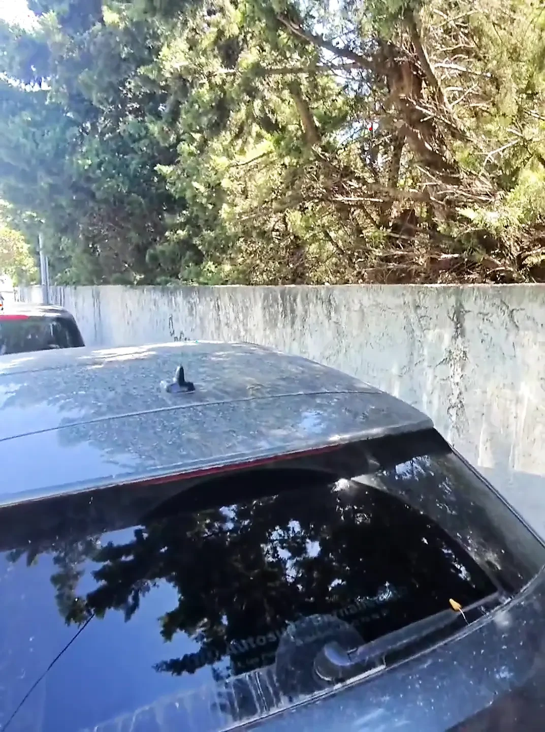 Special Exhibition, I Play with My Clit in the Middle of the Street Until Orgasm