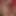 Çoraplı seksi orta yaşlı seksi kadın götünü büyük bir yarakla işgal etmeyi seviyor ...