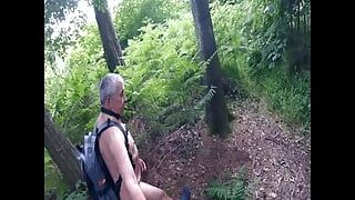 Just A Walk In The Woods