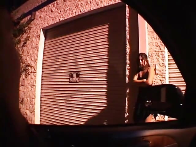 Adam düzgün vücutlu bir fahişeyi sokakta alıyor ve sikişmek için eve götürüyor