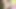 Indian naked playing