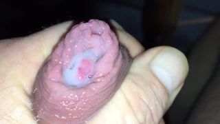 Sperma Schwanz