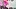 Neighbor does super hot sensual dance as a maid so that the boss raises her salary