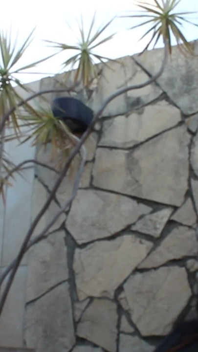 Chubby Latina with huge ass has sex on the terrace with her punk boyfriend | Clip 1