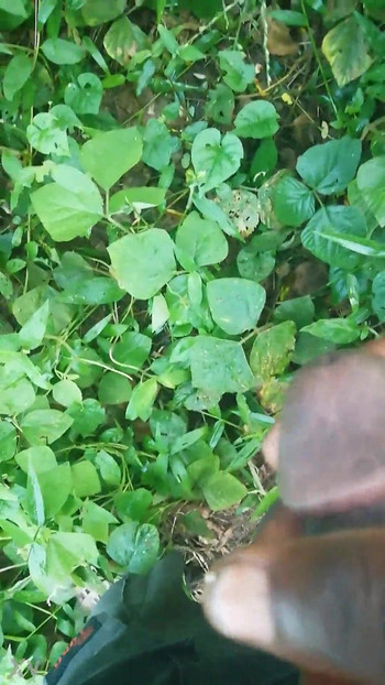I masturbate in the bush