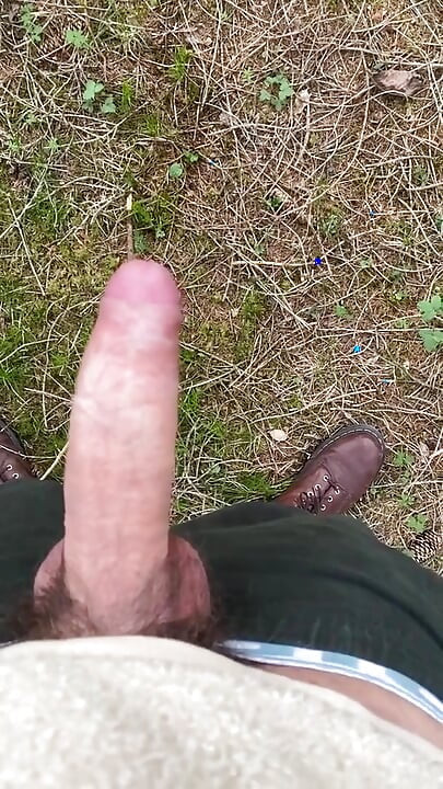 Cum in forest