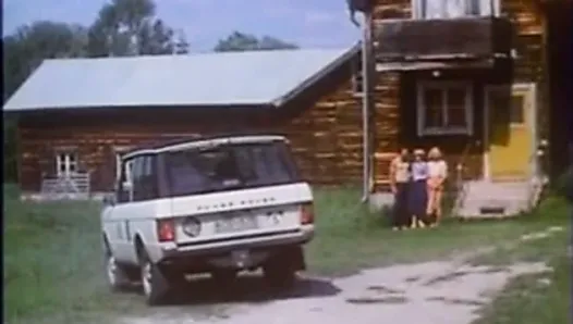 Long métrage hardcore classique suédois de 1978