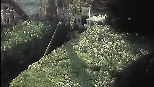 İyi şık, iyi tarz, ama... Sürtükler!! (1983)