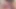 You Will Want to Suck Cock Even If You are Not Gay after Watching this POV Female Blowjob Video