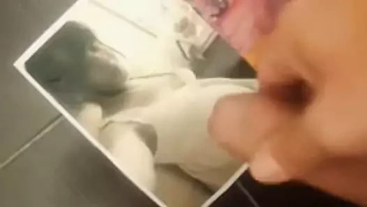 Yeni haraç 20