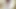 Ladyboystar - Pretty and Skinny Amateur Ladyboy Tastes My Cum After Anal Sex