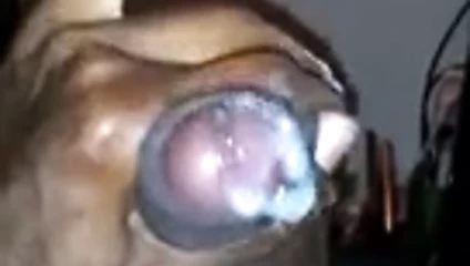 nut