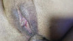 Pratinjau video