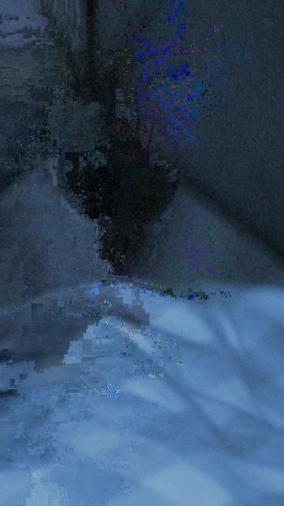 我妻子和我们的公牛的另一个晚上