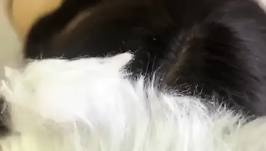 Today I'm a Naughty Kitten Who Wants Milk