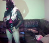 Pregled videozapisa