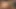 African Hottest Porn Video