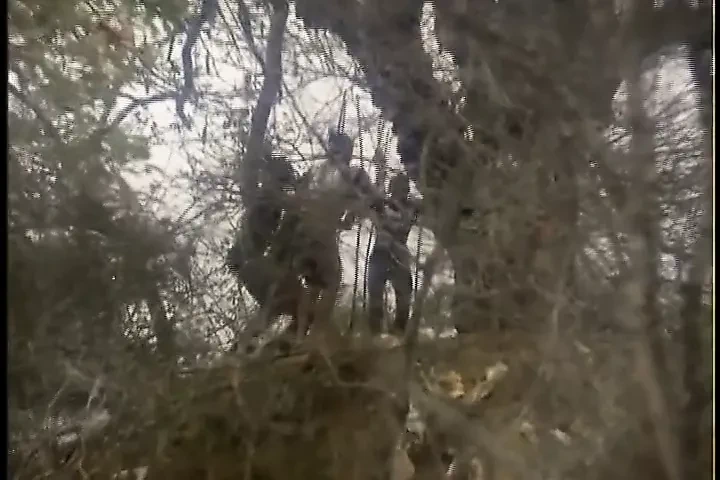 Africa masturbation.mp4