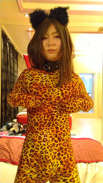 Japanese cd change leopard from black cat | Clip 1