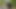 LEGGINGS IN FOREST AND CUM