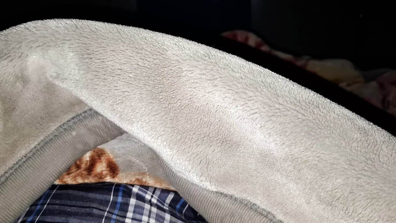 I am the King of all these needy bitches on my BBC.